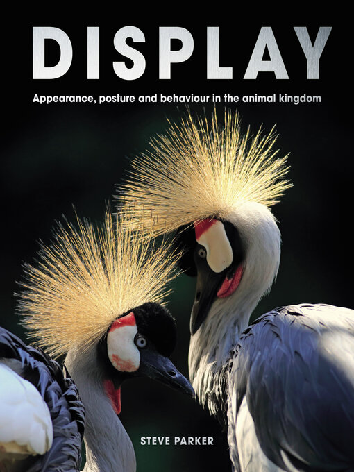 Title details for Display by Steve Parker - Available